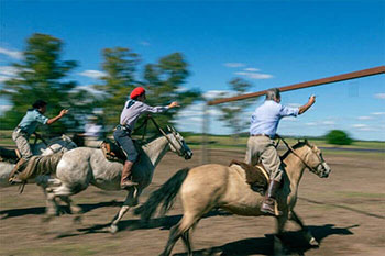 dia de campo en estancia