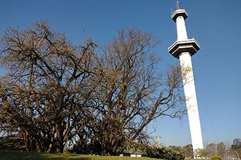 parque de la ciudad